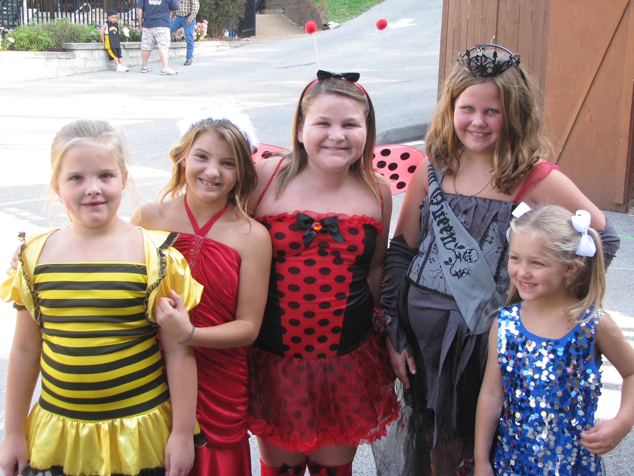 Little girls costume