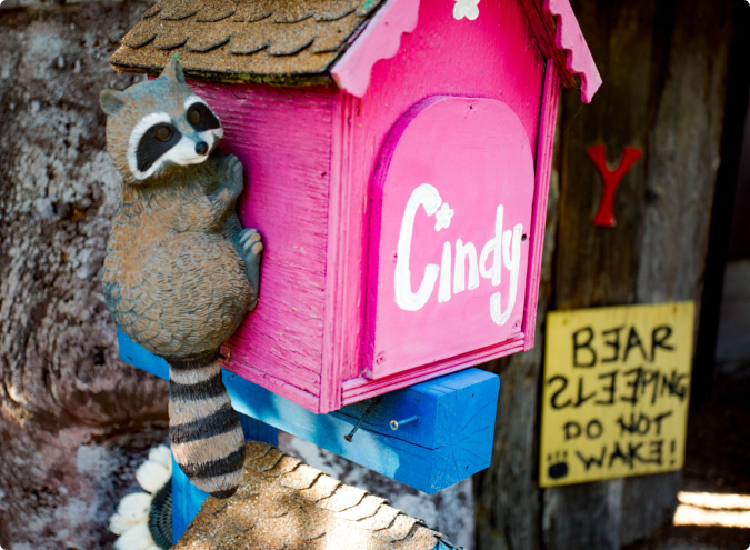 A raccoon perched on a mailbox