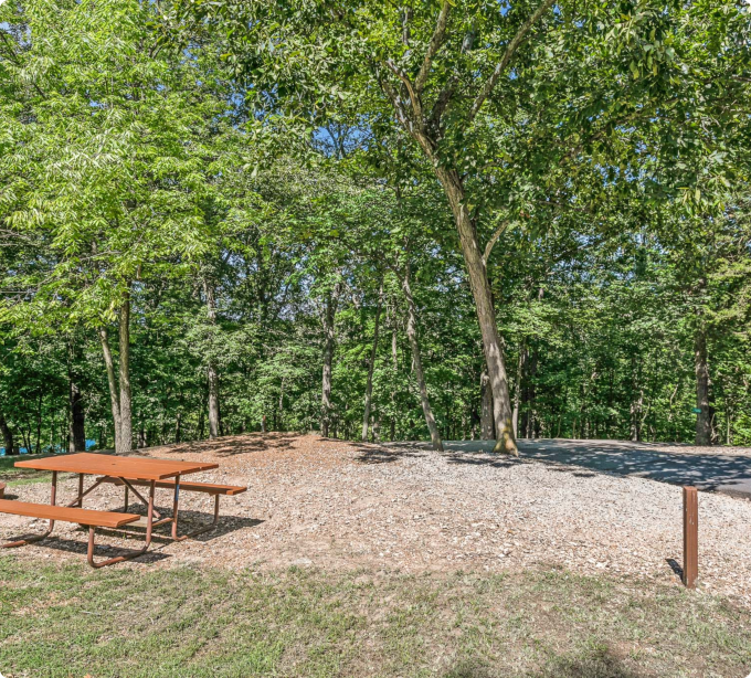 A wooden picnic table and bench nestled among trees in a serene forest setting.