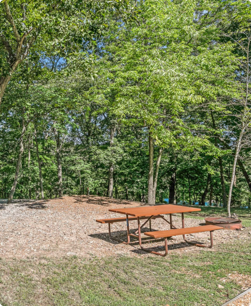 A picnic table and fire pit in a wooded area, surrounded by lush green trees under a clear blue sky.